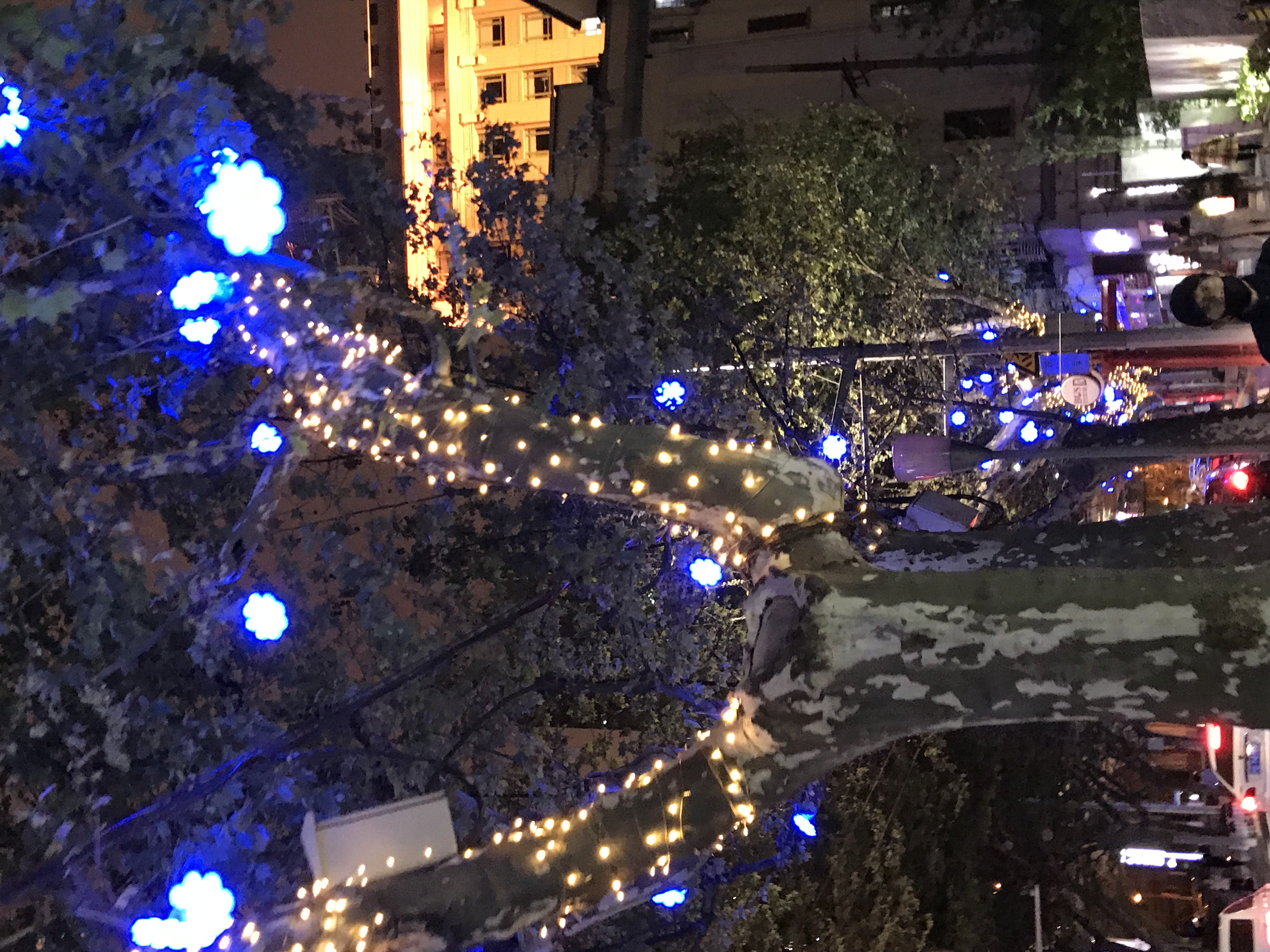 ./2018/03 - Viking China/22 - Shanghai Day 1/IMG_9951.JPG